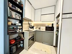 Normanton Park (D5), Apartment #511871681